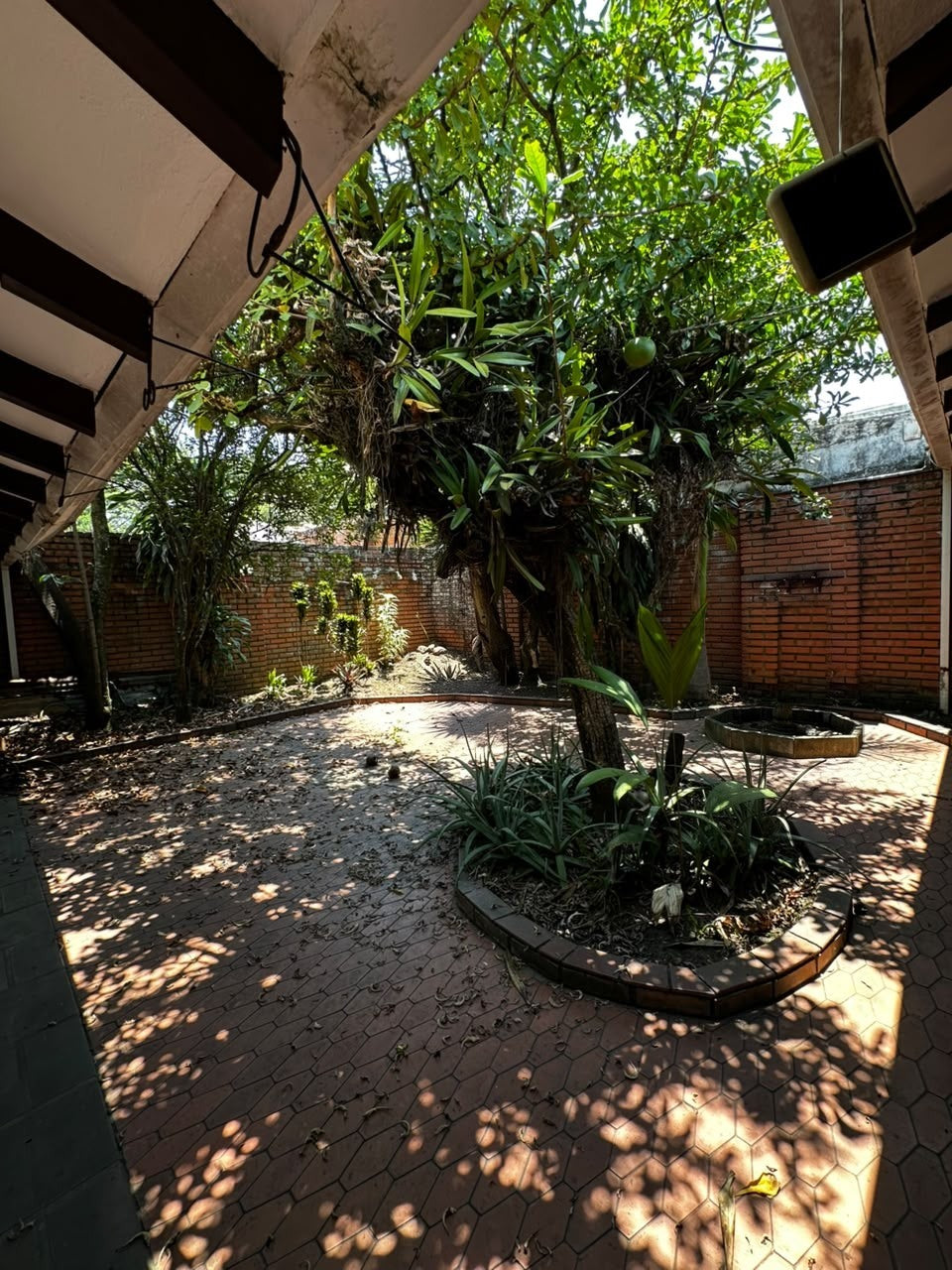 Casa con jacuzzi Ciudad Jardín Cali - patio interior